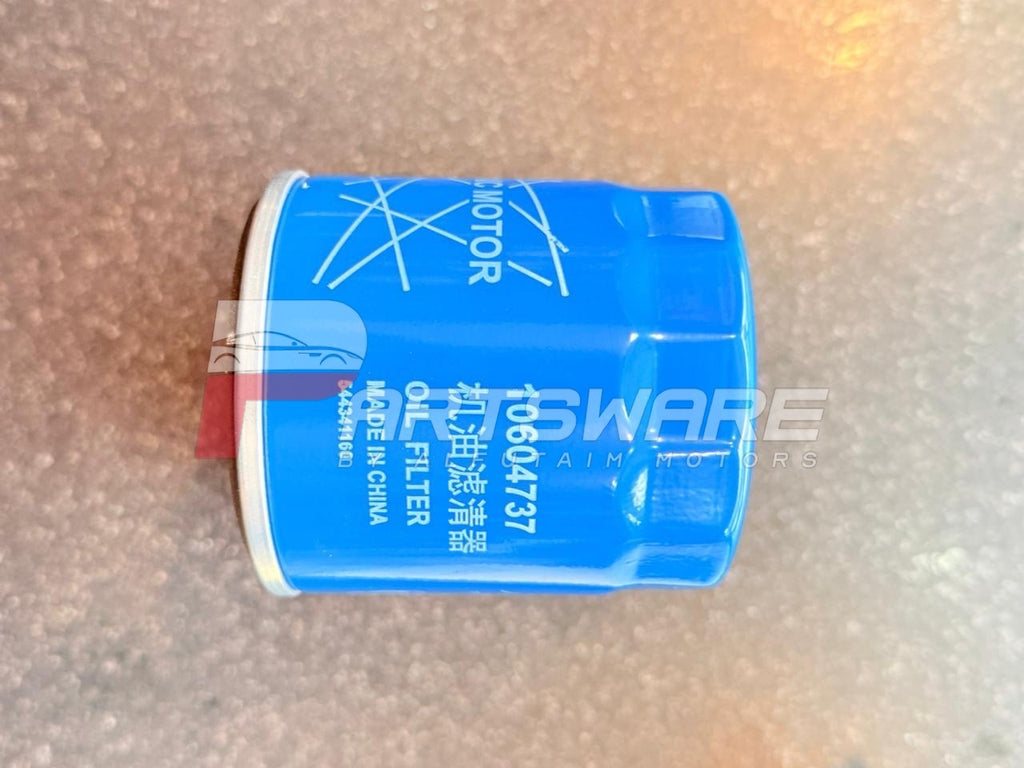MG HS 2021 Oil Filter