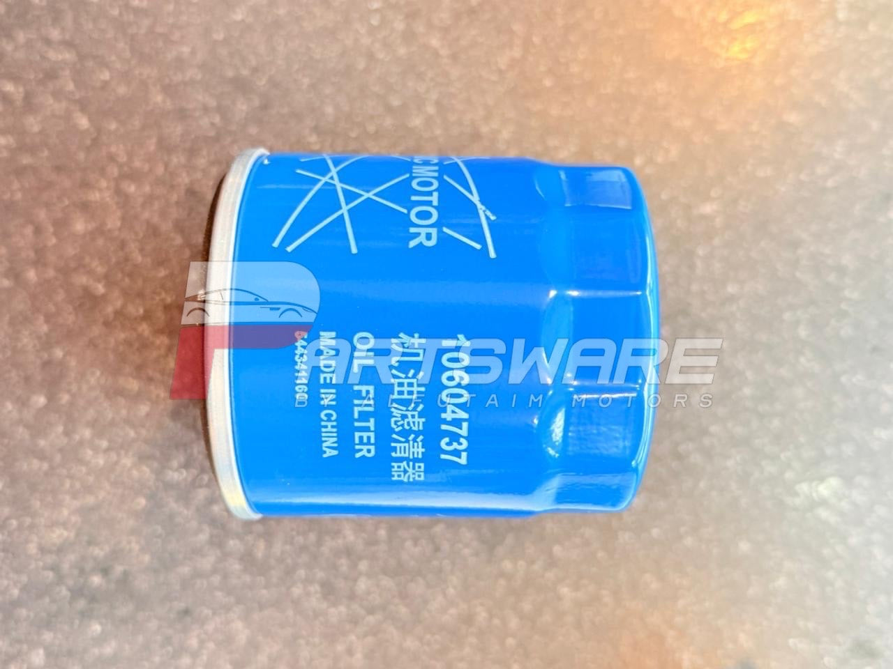 MG HS 2021 Oil Filter