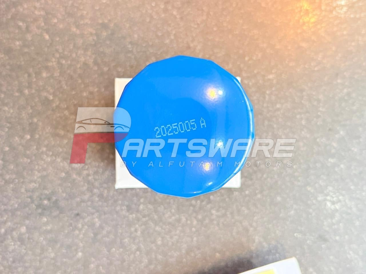 MG HS 2021 Oil Filter