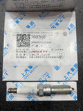 SPARK PLUG MG HS